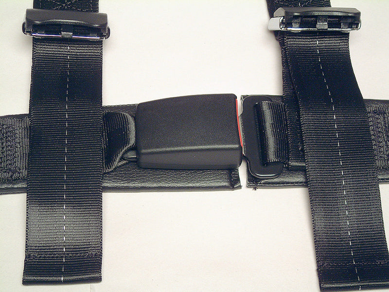 Schroth Rallye 4 ASM Harness